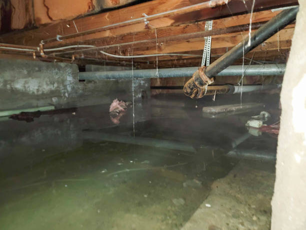 Best Water damage restoration experts  in Gantt, SC