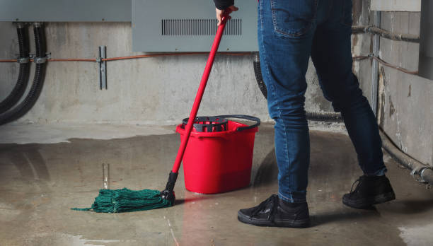 Best Water damage mitigation services  in Gantt, SC
