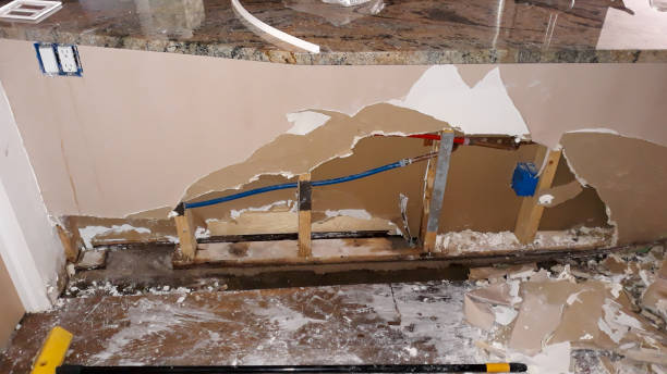 Best Basement water damage restoration  in Gantt, SC