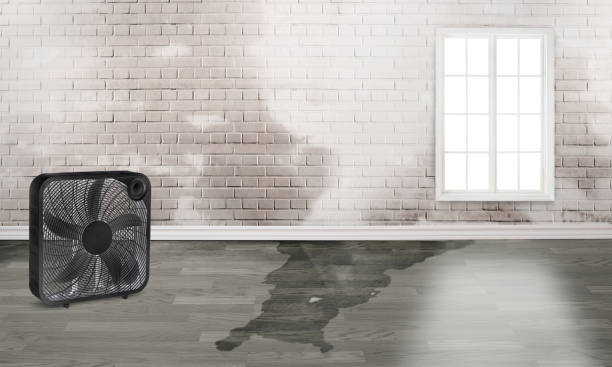 Best Flood restoration services  in Gantt, SC