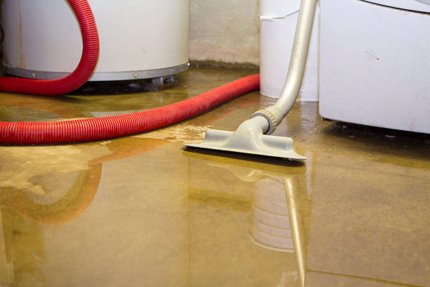 Best Basement water damage restoration  in Gantt, SC
