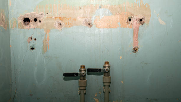 Carpet water damage restoration in SC