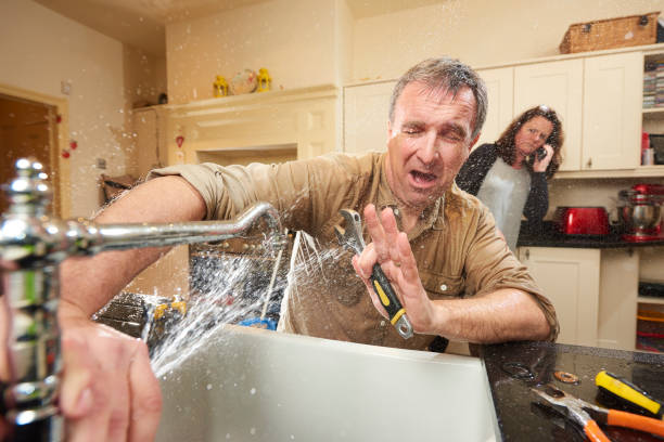 Best Residential water damage restoration  in Gantt, SC